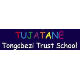 workinafrica Community Mobiliser Tongabezi Trust School