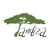 workinafrica Trainee Tandiza Zambia Finance Ltd