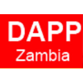 workinafrica Financial Controller DAPP Zambia
