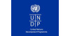 workinafrica Business Analyst UNDP